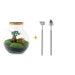 DIY Terrarium Kit - Teddy