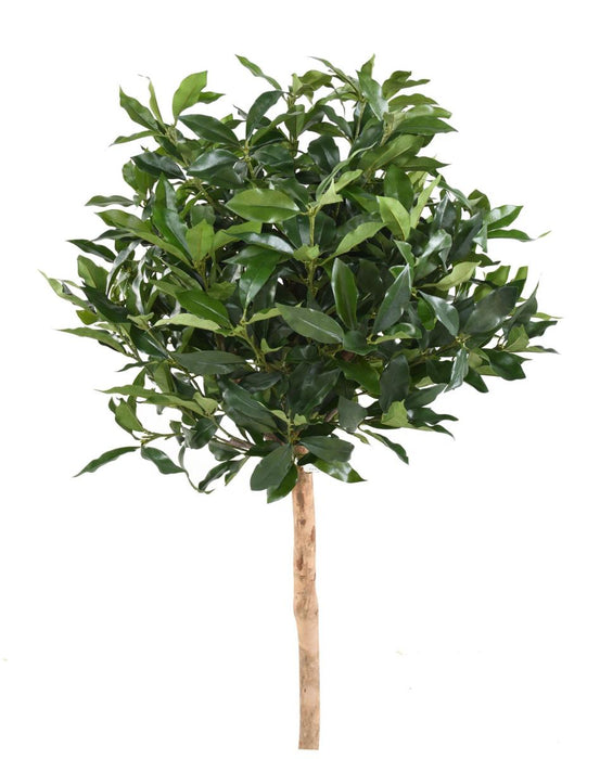 Kunstig Laurbær Lusitanica 140 Cm Indendørs Plante