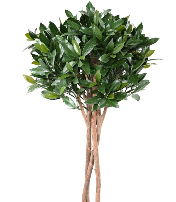 Nobilis Kunstig Laurbær Uv-Resistent H.130Cm Grøn