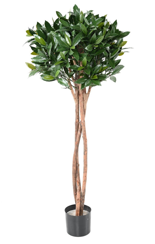 Nobilis Kunstig Laurbær Uv-Resistent H.130Cm Grøn