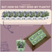 Lavendel Angustifolia - 8 Pakker Af 6