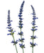 Lavendel - Kunstig Blomstrende Gren