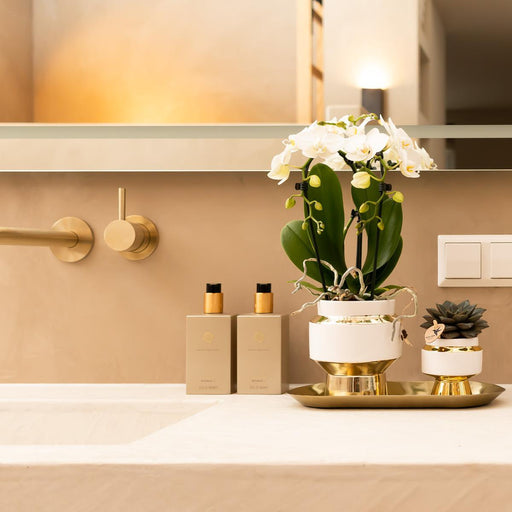 Le Chic Bloempot - Hvid Gryde Med Gulddetaljer