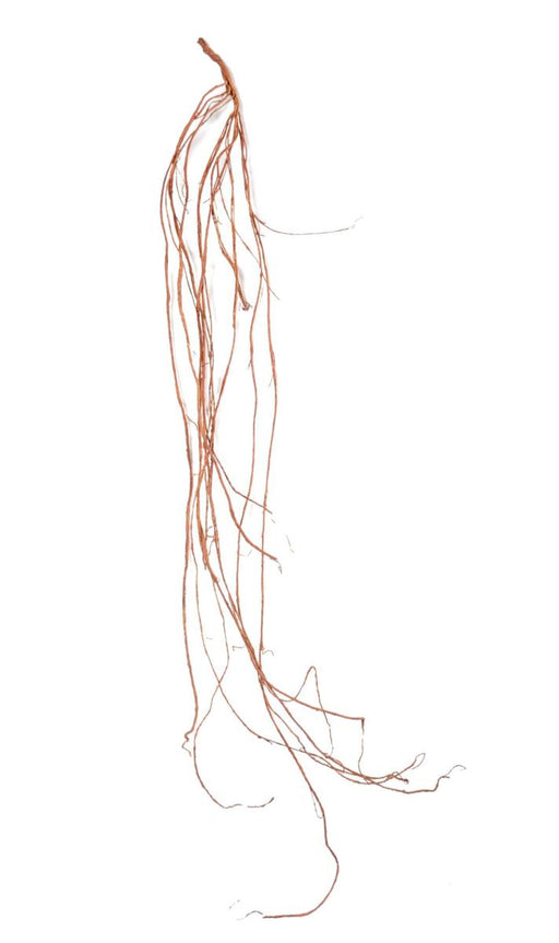 Kunstig Liana I Polyethylen H.180 Cm Brun