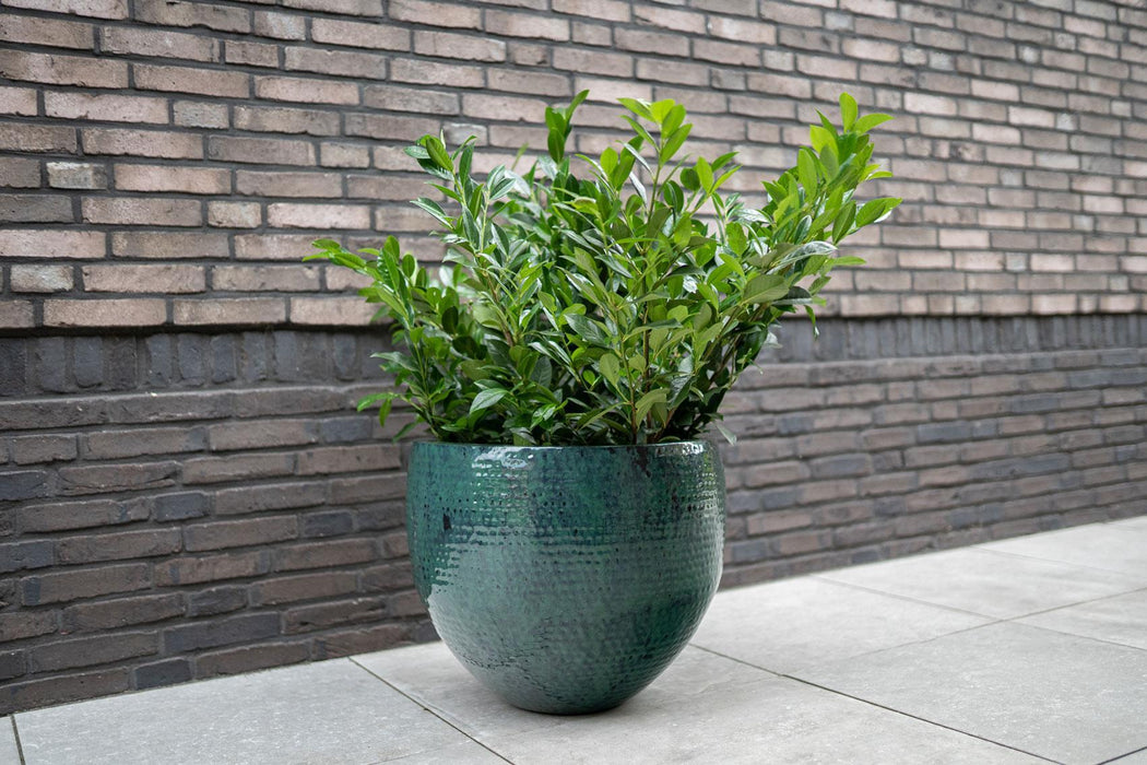 Sæt Med Tre Mørkegrønne Keramiske Plantepotter