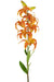 Kunstig Martagon Lily Orange