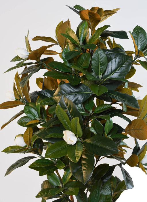 Kunstig Magnolia Blomst 8 Blomster 185 Cm Hvid