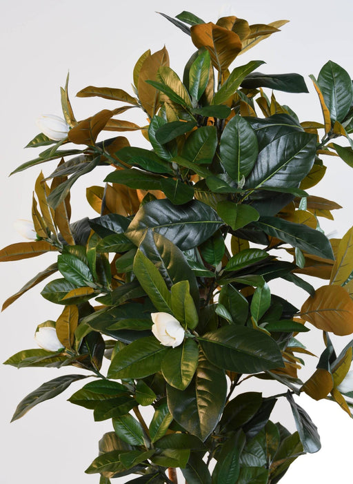 Kunstig Magnolia Blomst 8 Blomster 185 Cm Hvid