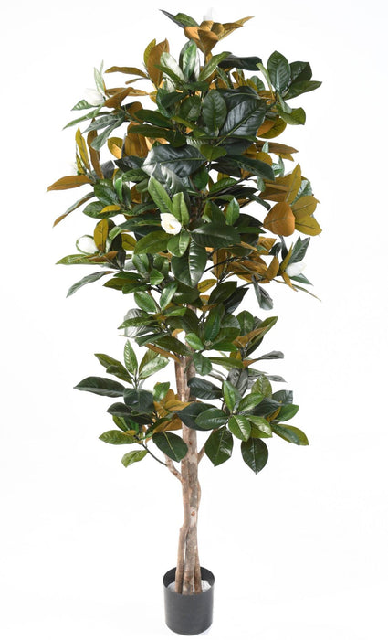 Kunstig Magnolia Blomst 8 Blomster 185 Cm Hvid