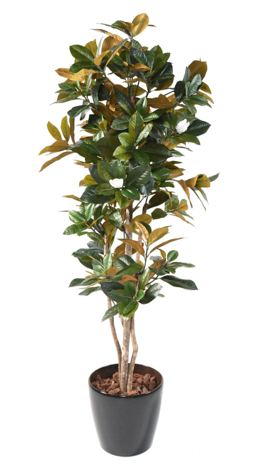 Kunstig Magnolia Blomst 8 Blomster 185 Cm Hvid