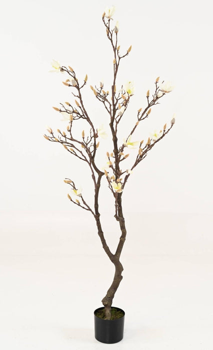 Kunstig Magnolia Blomstrende 150 Cm Indendørs Plante