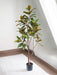 Magnolia Yulania - Kunstigt Træ