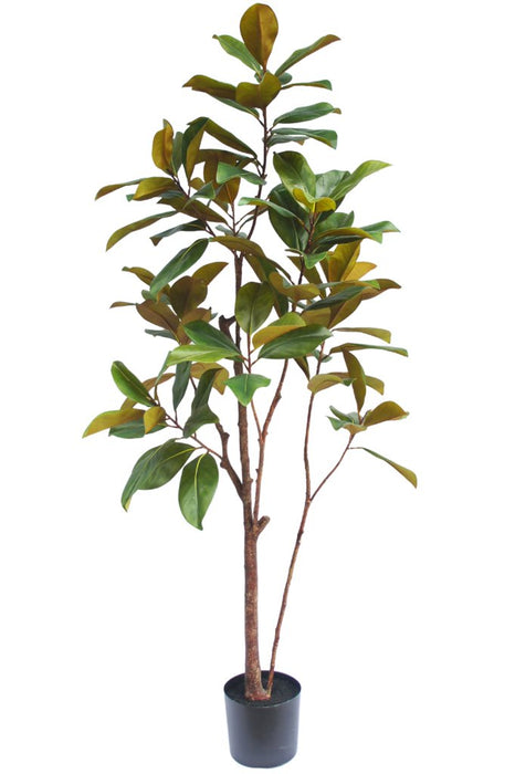 Magnolia Yulania - Kunstigt Træ