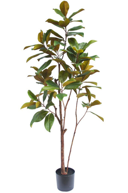 Magnolia Yulania - Kunstigt Træ
