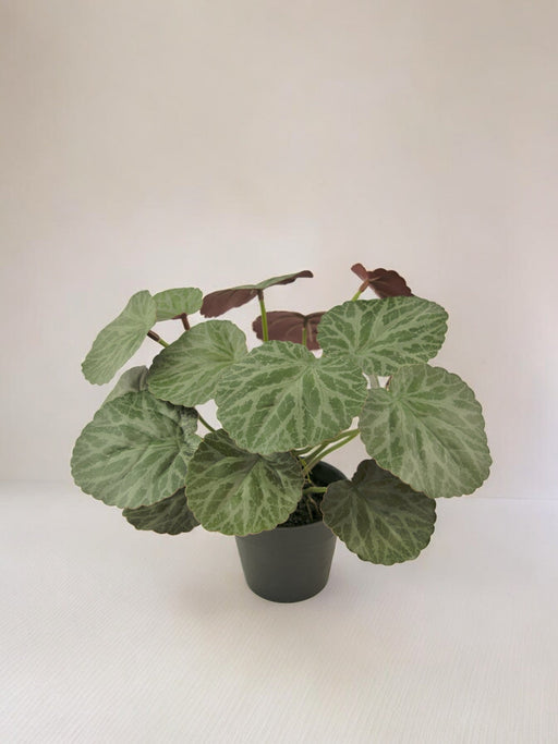Malus - Kunstig Grøn Plante