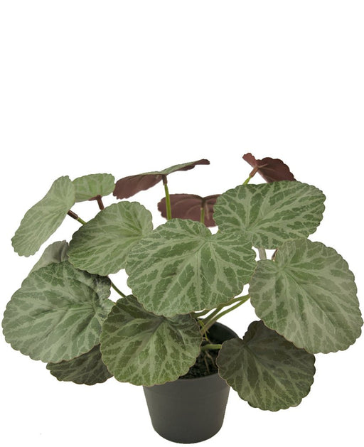 Malus - Kunstig Grøn Plante