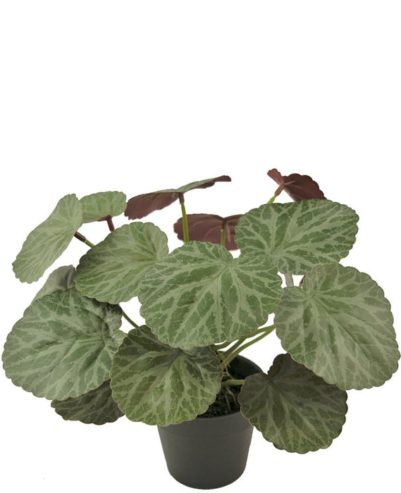 Malus - Kunstig Grøn Plante