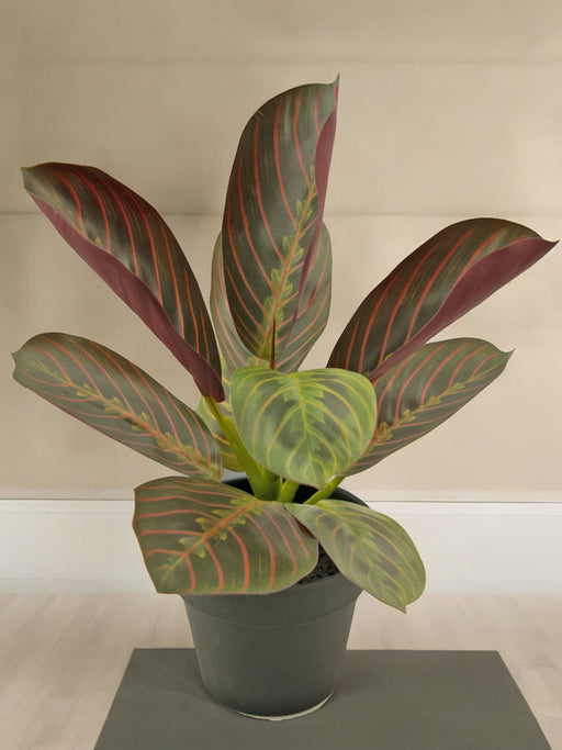 Maranta - Kunstig Grøn Plante