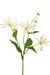 Artificial Daisy Hvid/Pink