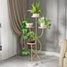 Indvendig Møbeldesign Plantedans