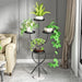 Indvendig Møbeldesign Plantedans