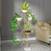 Indvendig Møbeldesign Plantedans