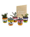 Blanding Af 5 Sukkulenter Og Deres Farverige Plantepotter H13Cm