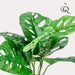 Monstera Monkey Kunstig Plante - H29Cm, Ø18Cm