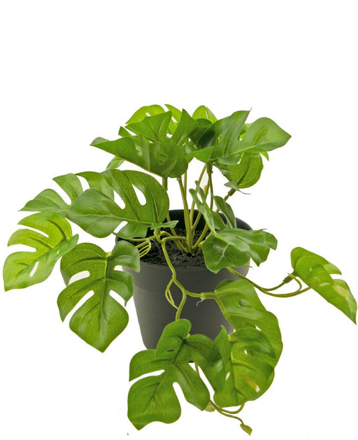 Monstera - Kunstig Grøn Plante
