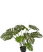 Monstera - Kunstig Grøn Plante