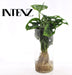 Monstera Cylindrisk Vase