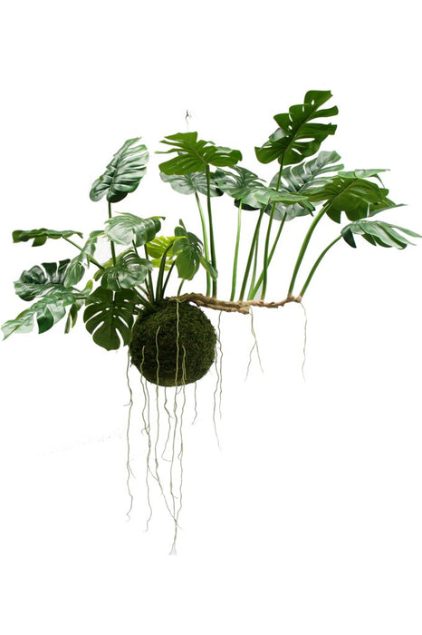 Monstera Kokedama - Kunstig Hængende Plante