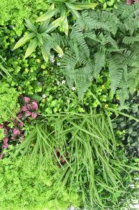 Kunstig Grøn Væg 100X100Cm UV-Resistent