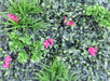 Kunstig Grøn Væg Med Blomster 100X100Cm