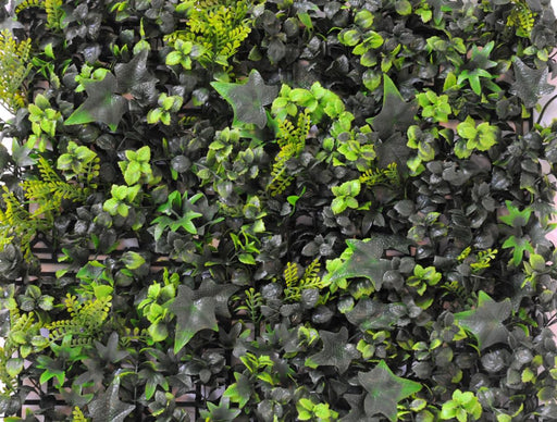 Kunstig Grøn Væg Ivy Buksbom 50X50Cm