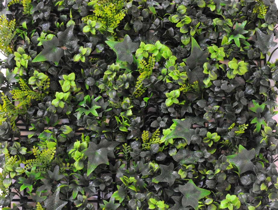Kunstig Grøn Væg Ivy Buksbom 50X50Cm