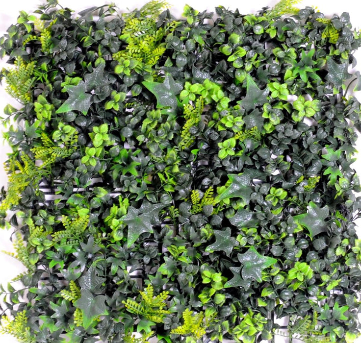 Kunstig Grøn Væg Ivy Buksbom 50X50Cm