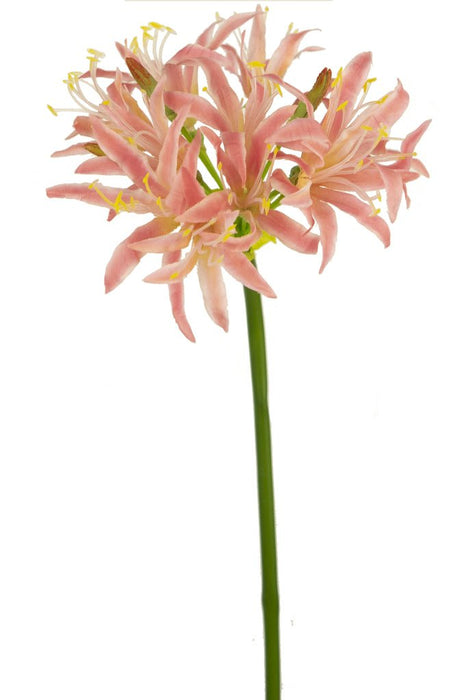 Kunstig Pink Nerine