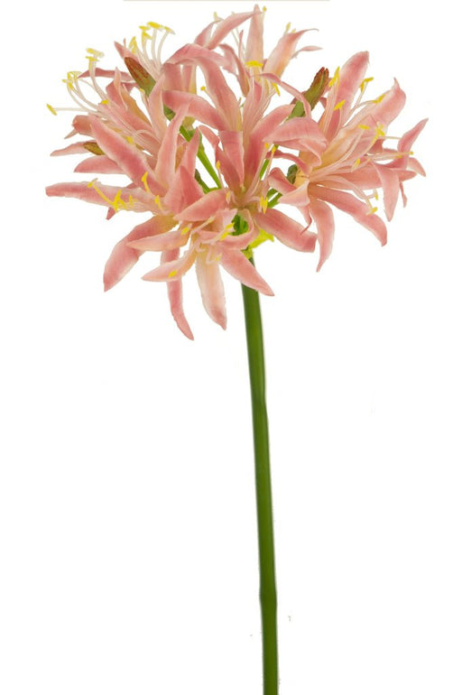 Kunstig Pink Nerine