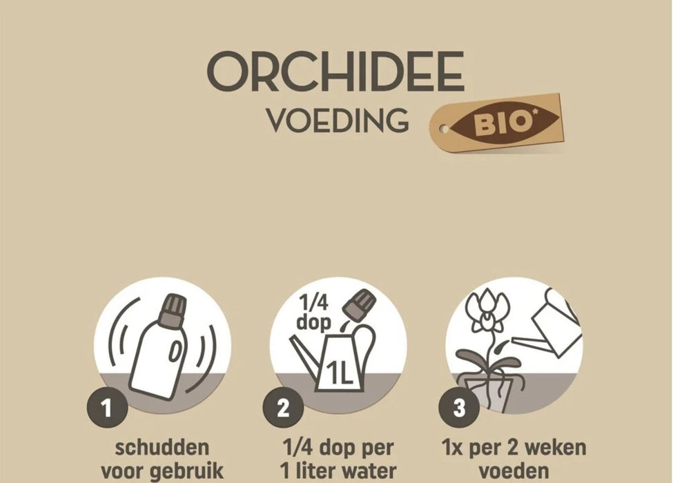 Økologisk Ernæring Til Orkideer - Naturlig Mad