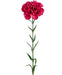 Hot Pink Kunstig Nellike