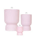 Kombineret Tilbud - Diabolo Rose Dekorative Potter