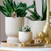 Kombineret Tilbud - Gummy Travertine Pots