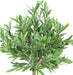 Kunstigt Oliventræ 90 Cm Til Udendørs Arrangement