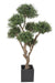 Kunstig Olivier Cloud Bonsai Til Indendørs 235 Cm