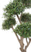 Kunstig Olivier Cloud Bonsai Til Indendørs 235 Cm