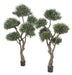 Kunstig Olivier Cloud Bonsai Til Indendørs 235 Cm