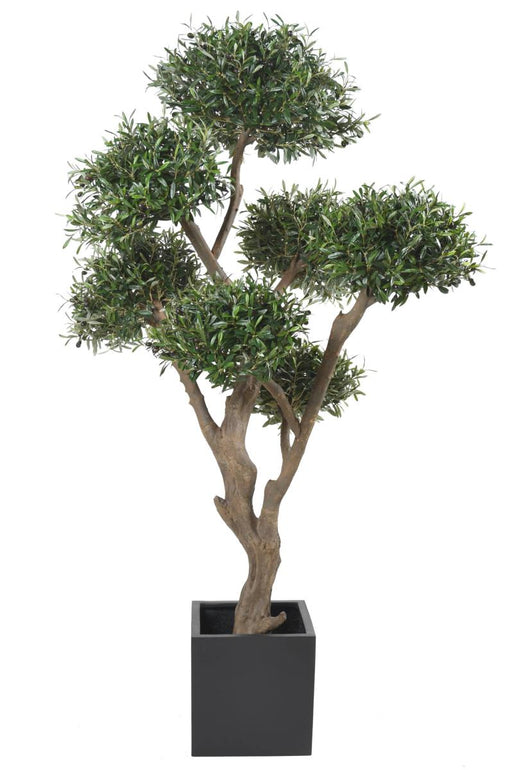 Kunstig Olivier Cloud Bonsai Til Indendørs 235 Cm