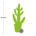 Opuntia Consolea H55Cm - Indendørs Kaktus