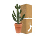 Opuntia Consolea H65Cm - Indendørs Kaktus